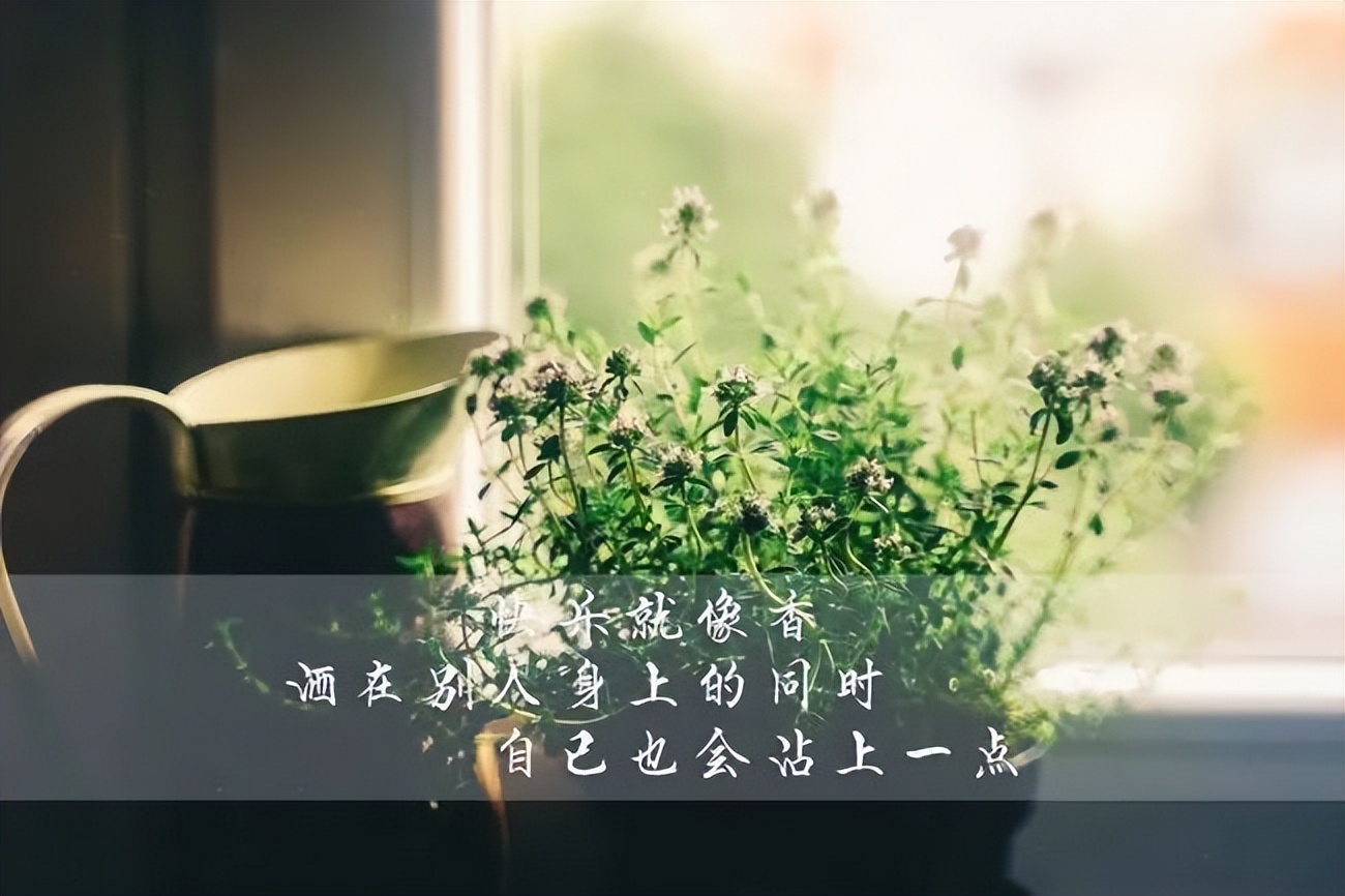 风来听风，雨来听雨，人生百味，随意就好，早上好