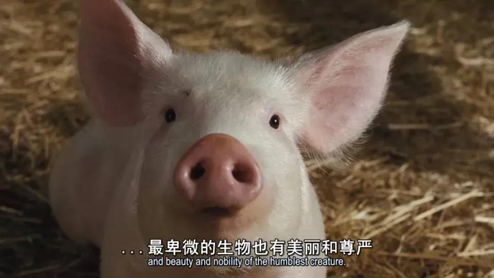 这几部电影可以让孩子懂得要在逆境中学会自我化解情绪，缓解压力