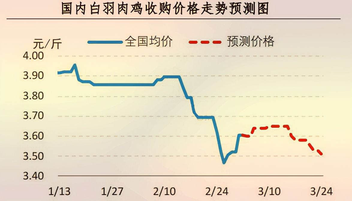 「周报」肉鸡市场行情汇总：鸡肉价格小幅上涨 毛鸡止跌偏强