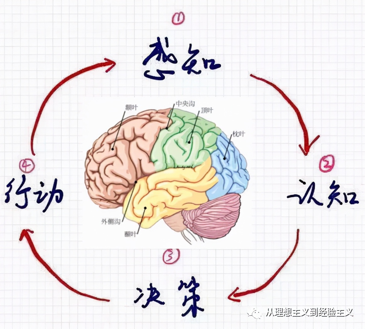 “产业大脑”是一种”电脑算命“吗？