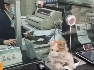 地铁工地坍塌4死14伤！事故原因公布，22人被处理【三分钟法治新闻全知道】