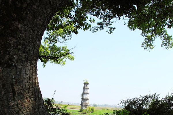 江西十大冷门景点，人少景美好玩