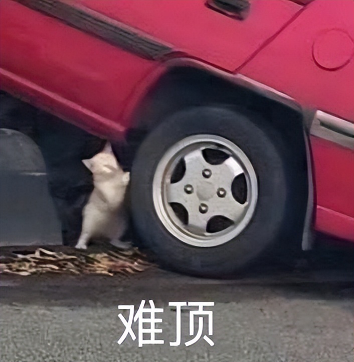 長輩使用智能手機也不怕落伍，試試這個簡單易操作的遠程協助方法