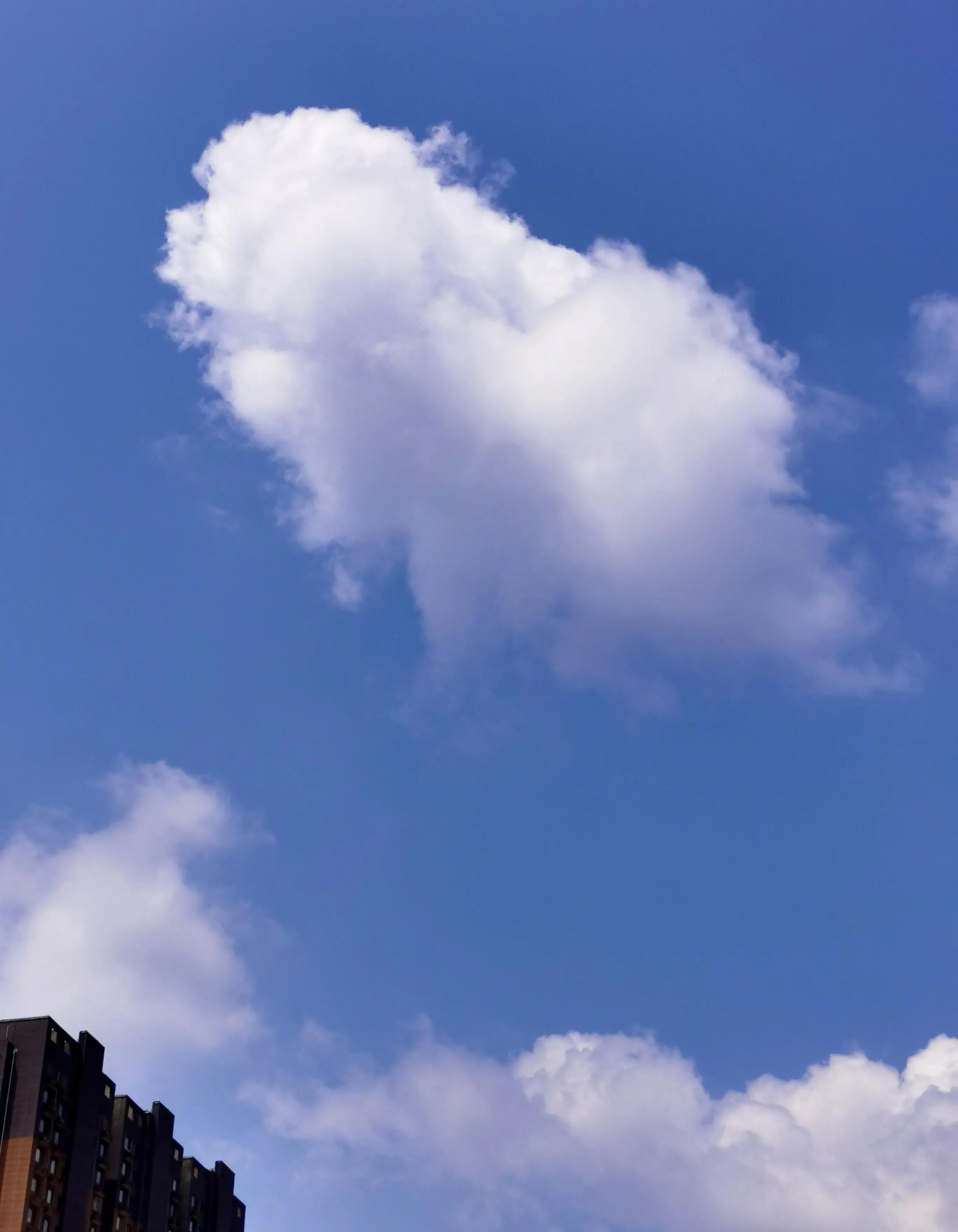 起诉状等法律文书小大全