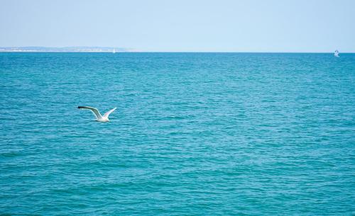 刮目相看！中考模拟考试作文参考范文《跳出刻板印象的藩篱》