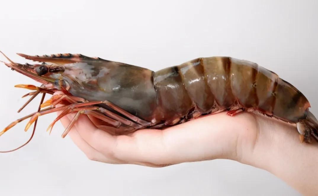 12种海虾"简单易记"的区分方法,你都吃过几种?附吃法,请收藏