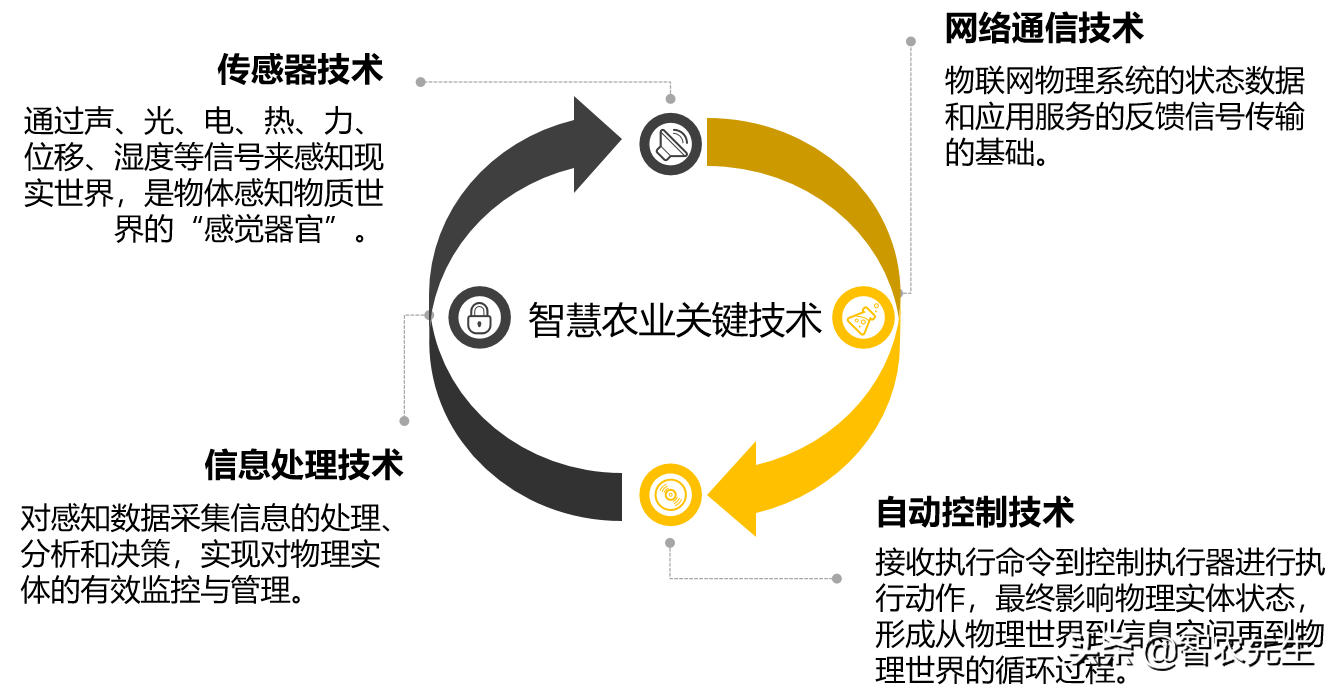 一个温室大棚年收入8万元，这是怎么做到的？