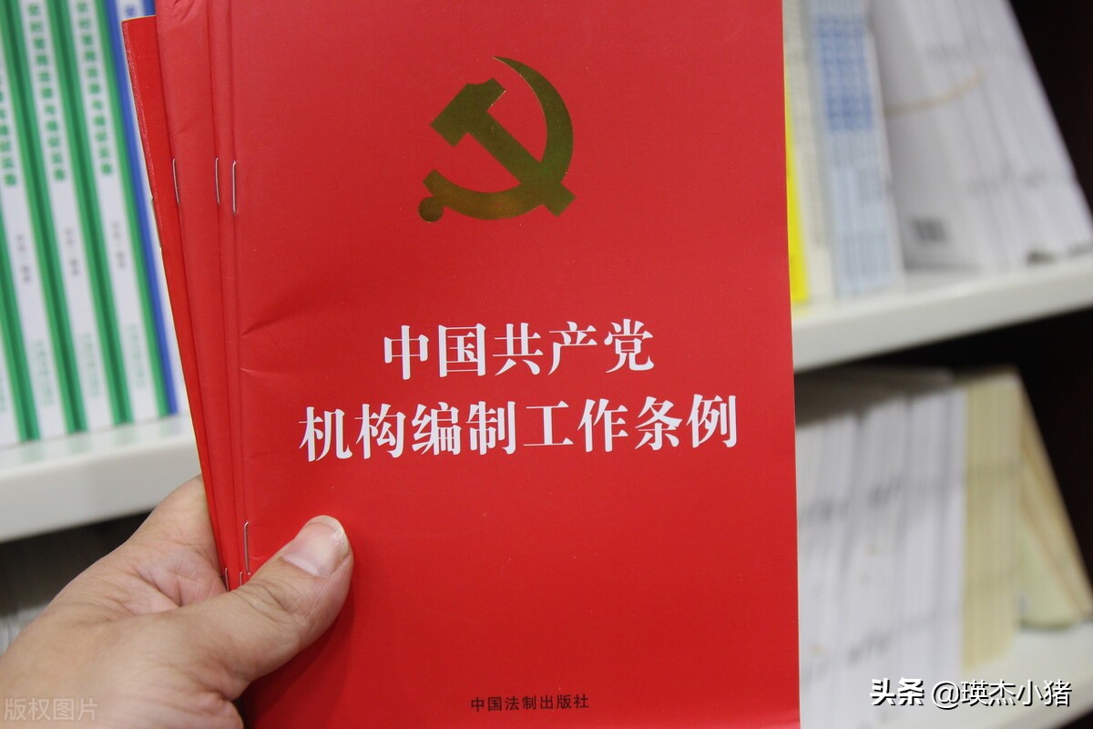 办公厅作为正厅级机构，在政府体系中占有重要地位，其内部又有许多复杂的职权划分和等级差异。
