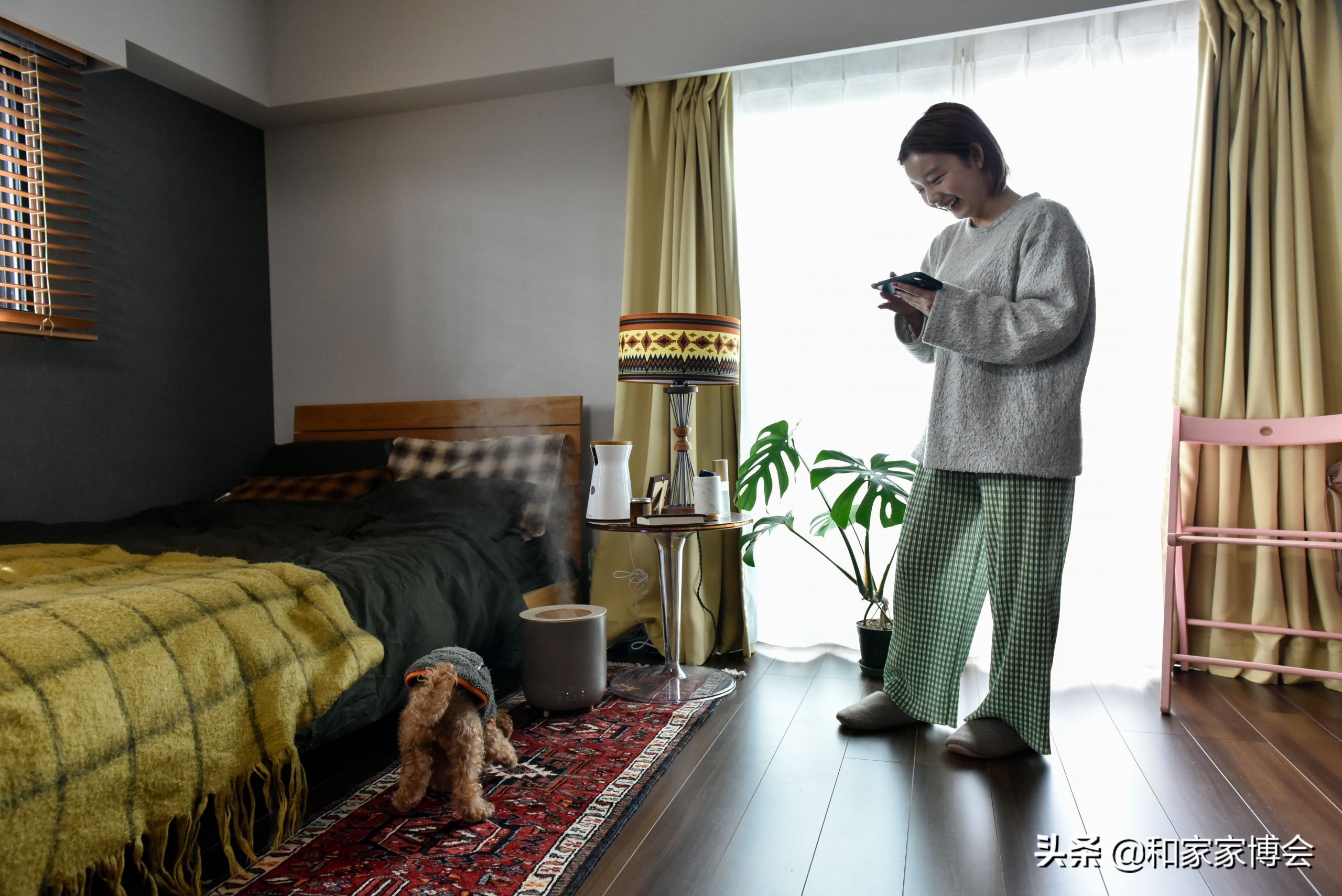 日本女生的“一居室”走红ins，一人一狗的独居生活