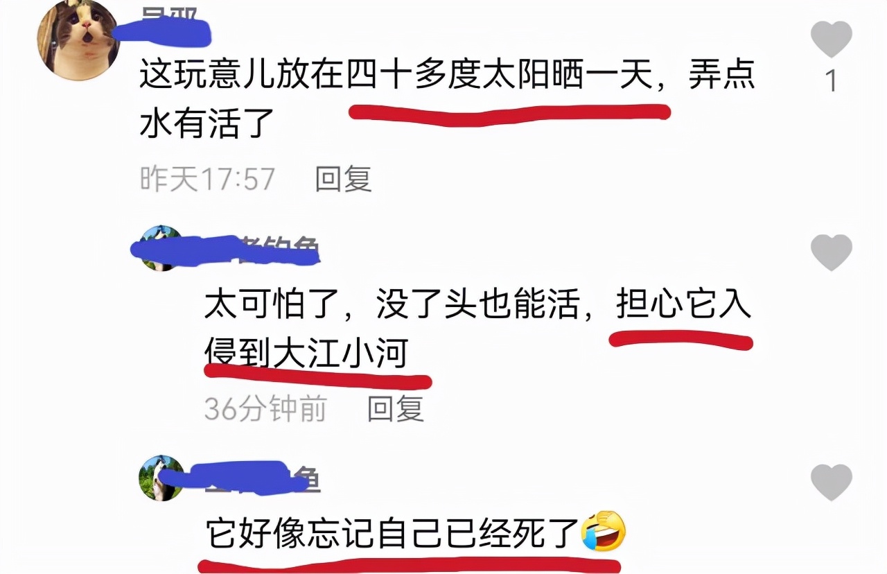 行尸走肉？广东“钓鱼佬”发现无头鱼，没脑袋还游动！究竟为何？