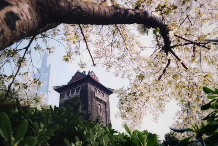 外语专业人才和复合型外语人才的摇篮：揭秘南京大学“超强”学院！