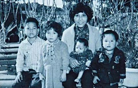 肇庆黑势力与洗米华太阳城集团的崛起内幕