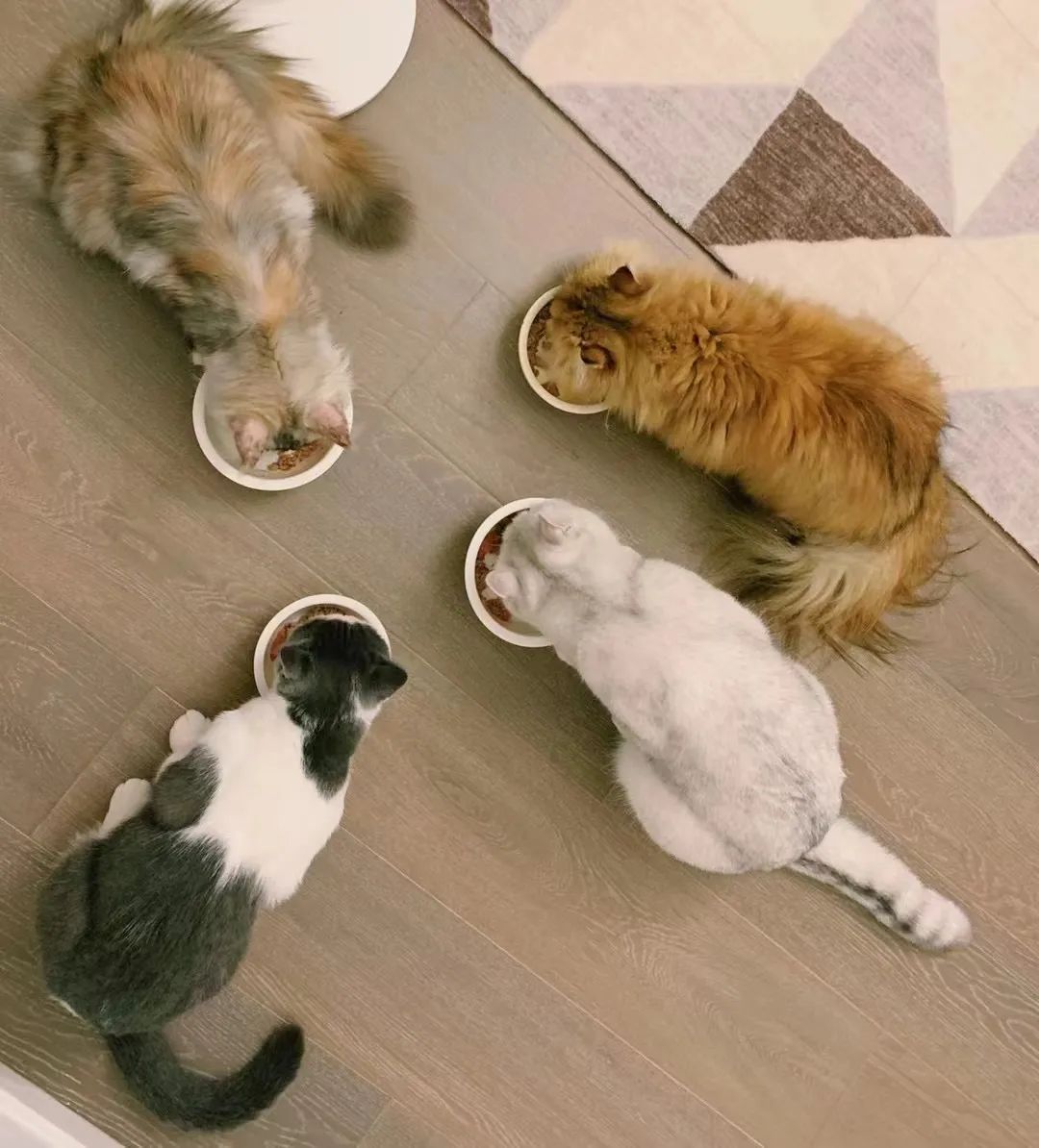��ʺ�ٵġ���ѧ������