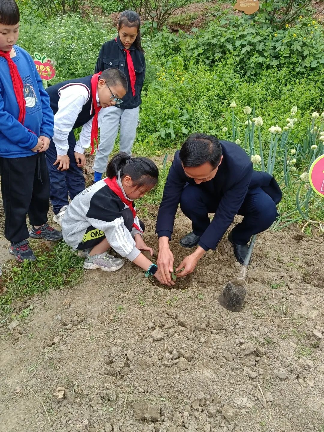 天府新区大林小学开展“春耕节”和“春意VS烟火”劳动实践活动
