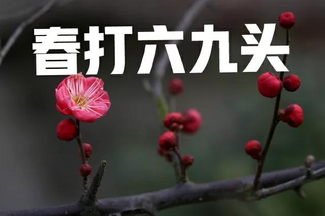 明日立春，今年是“春打六九头”，有什么说法？看老祖宗怎么说