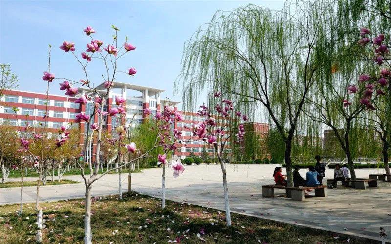 山东协和学院2021年各专业录取分数线！仅供2022年高三考生参考