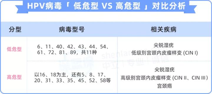 女性投保攻略！对比上百款产品，我最推荐这几款核保宽松的保险