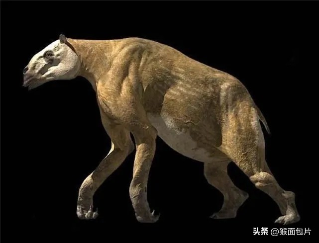 有蹄类动物中长有爪子4100万年前,鬣齿兽大角雷兽4300万年前,始祖象