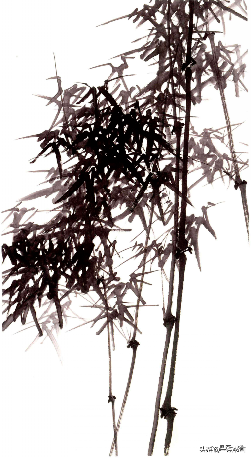 墨竹图竹枝画法（墨竹的详细步骤画法分享）