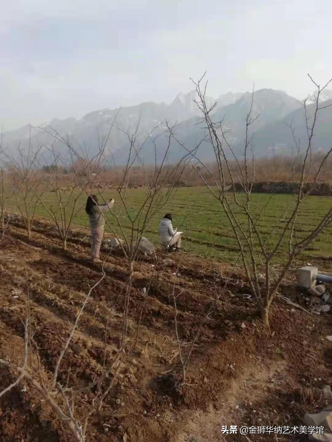 画家朱雅萍女士山水作品（华山写生）系列赏析《十》