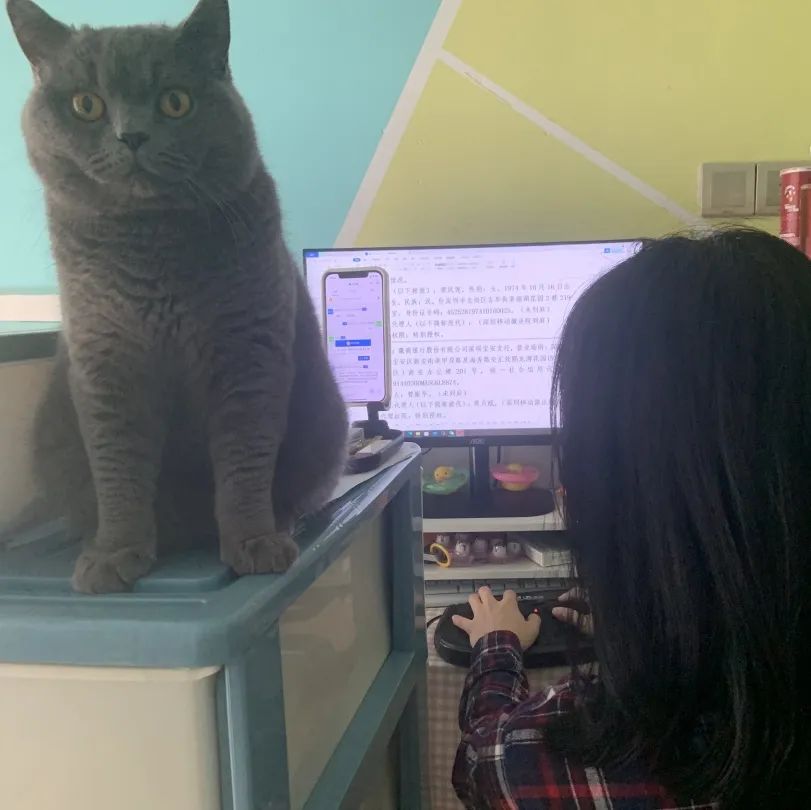 分享 | 满满科技感！来看法院人的居家办公秘籍