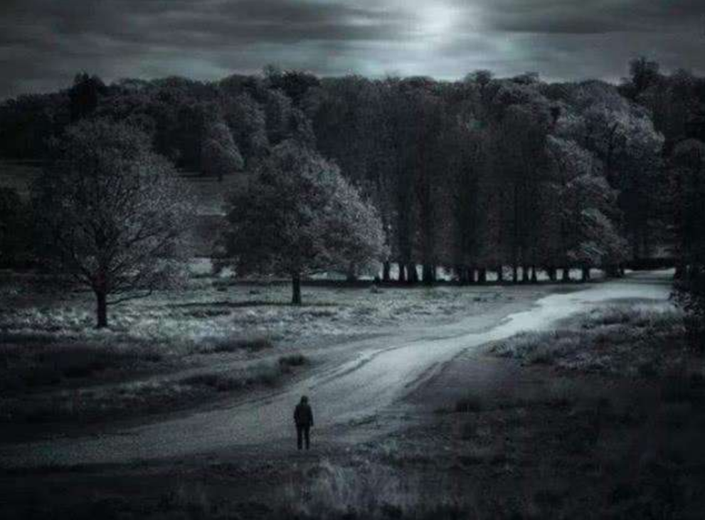 东北奇案:弟弟遇害给姐姐"托梦",警方按照梦中地点找到埋尸地