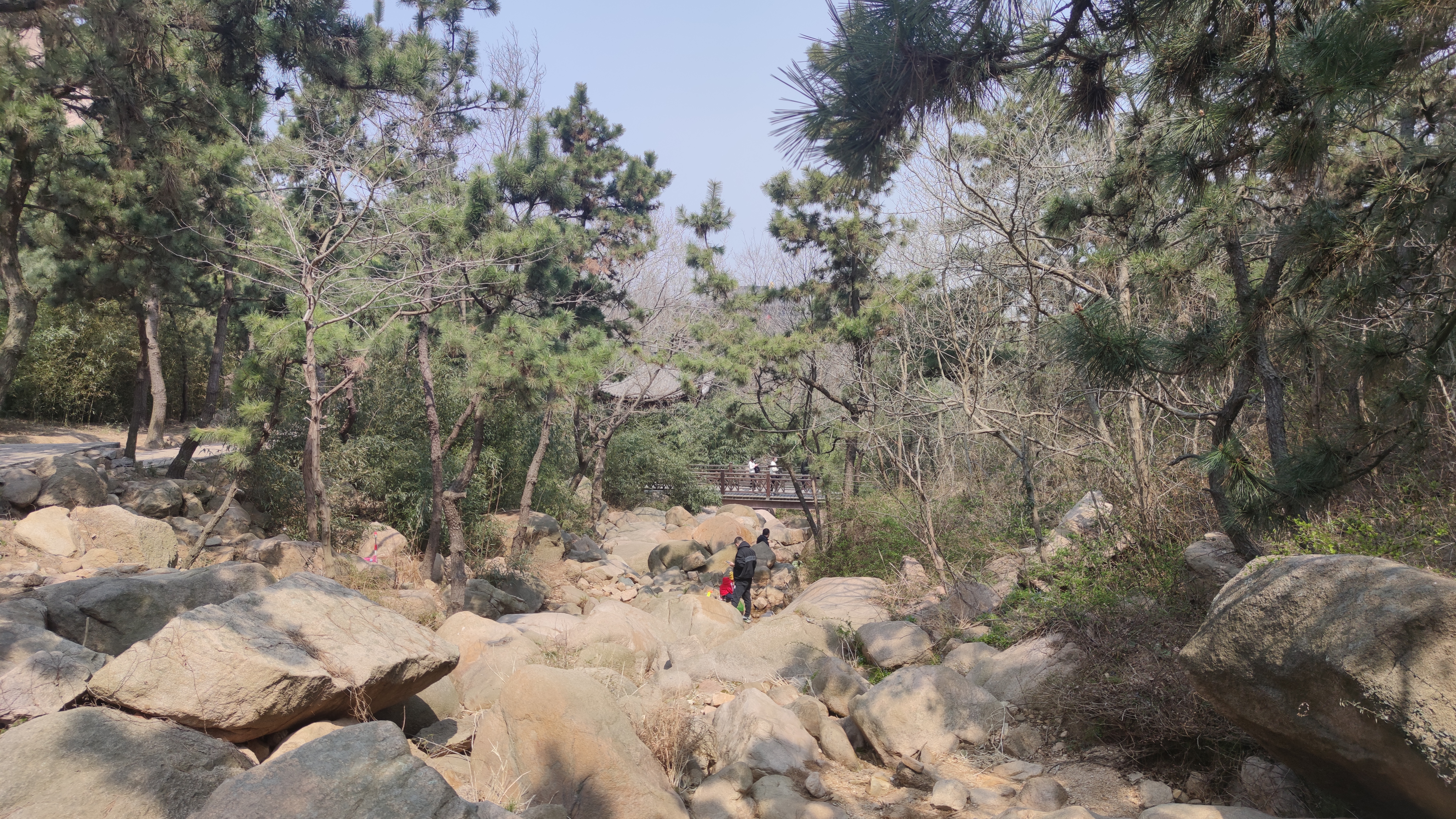早春，大珠山探寻万亩杜鹃花开爬山游记