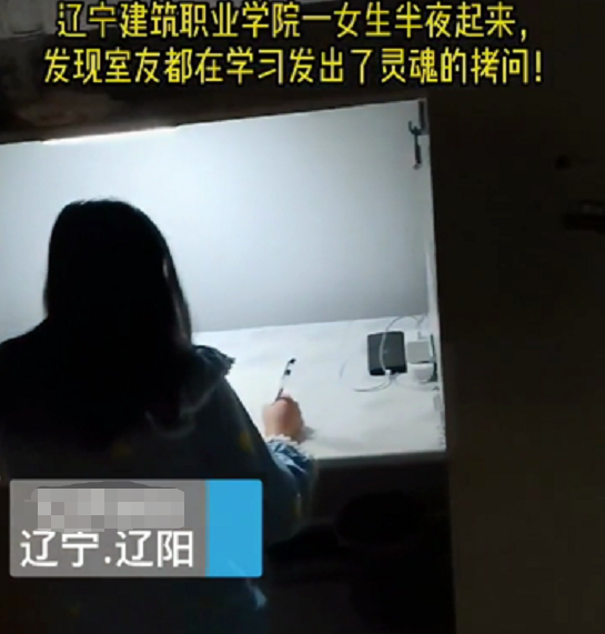 女大学生半夜醒来，发现其他室友都在学习，说好的一起挂科呢