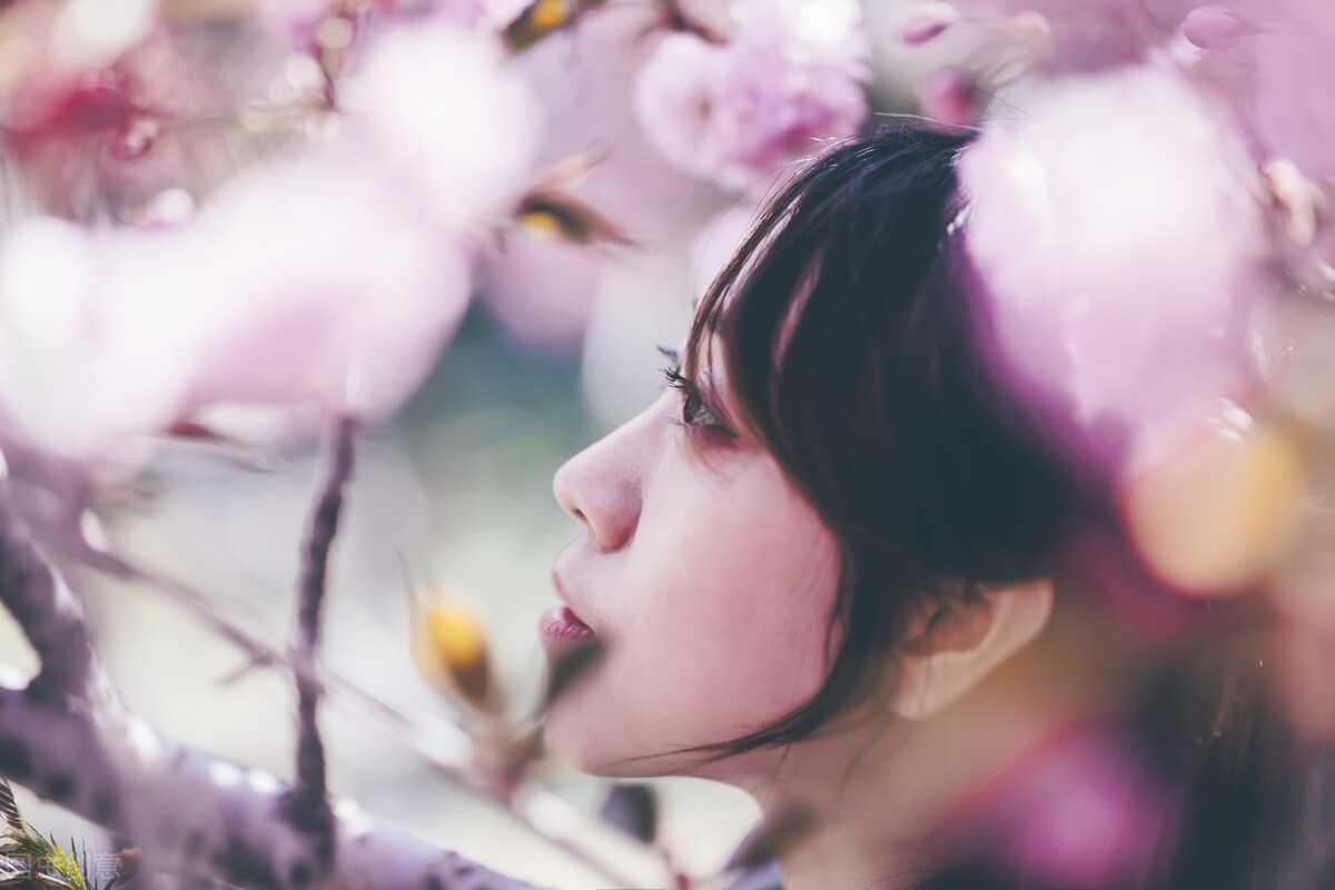 红颜易老，寻梦千年，浅情人不知