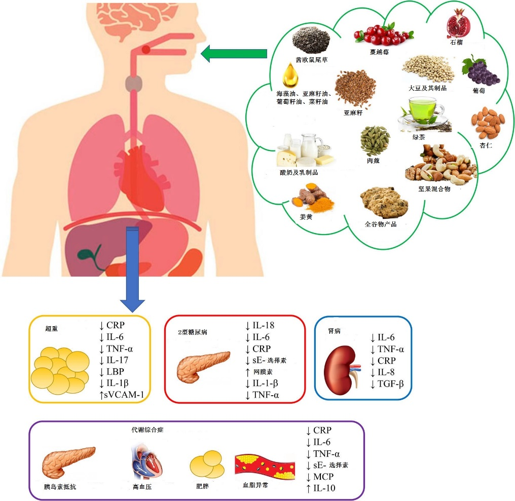 促炎食物与抗炎食物（抗炎食物有哪些） 9