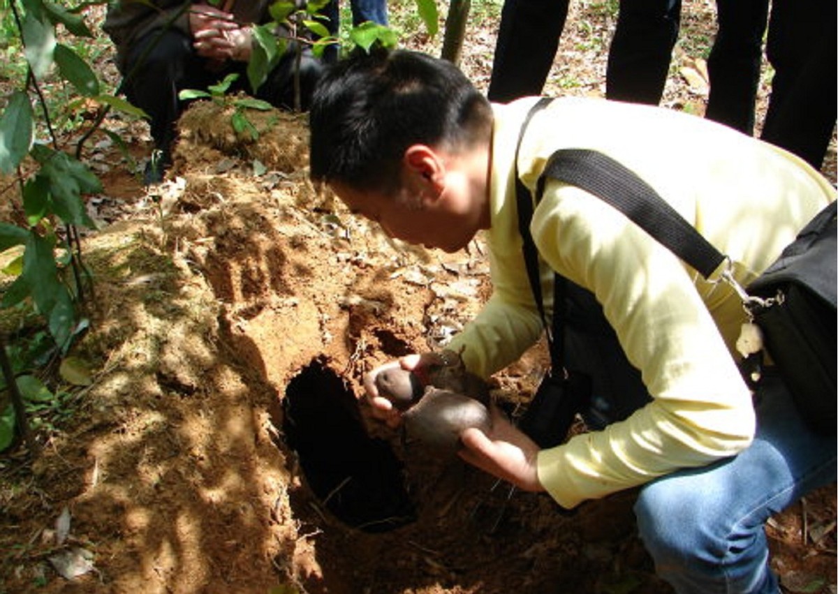 为何挖到的人不愿卖