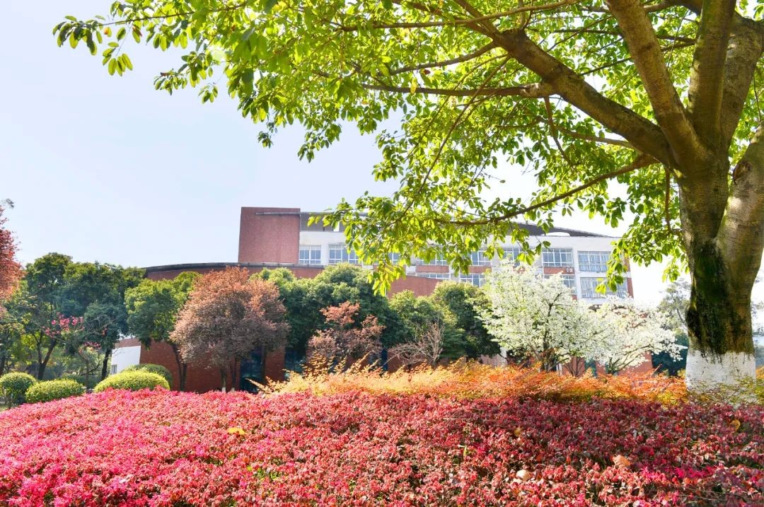 “恐龙”守候，坐拥4大食堂、水上图书馆！2022，成都理工大学等你来！