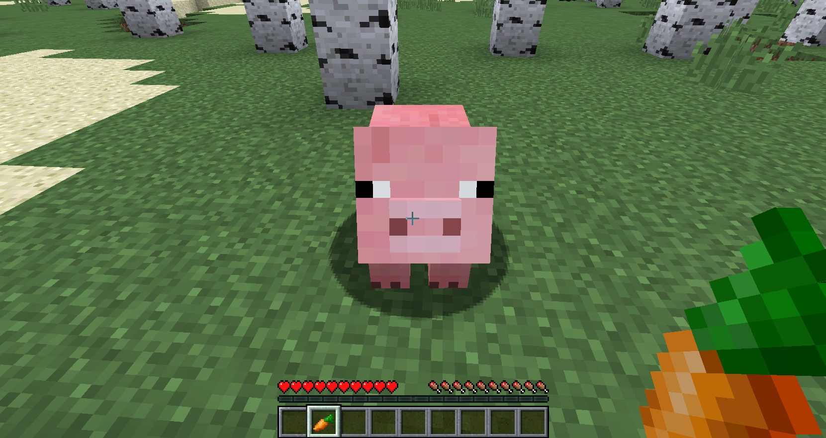 我的世界关于猪的真相(猪喜欢吃什么)-aoe家园