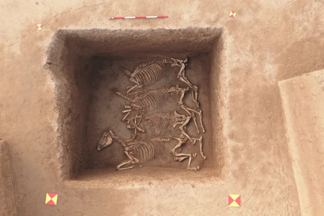 重磅：第二届陕西重要考古新发现揭晓