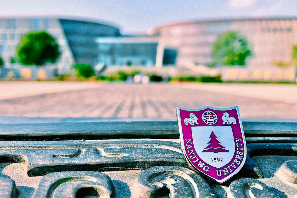 江苏省排名前十的大学，南京大学排第一，都是国内有名的高校