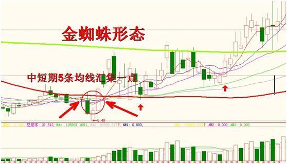 一位民间股神的退市感言：写给所有迷失的散户