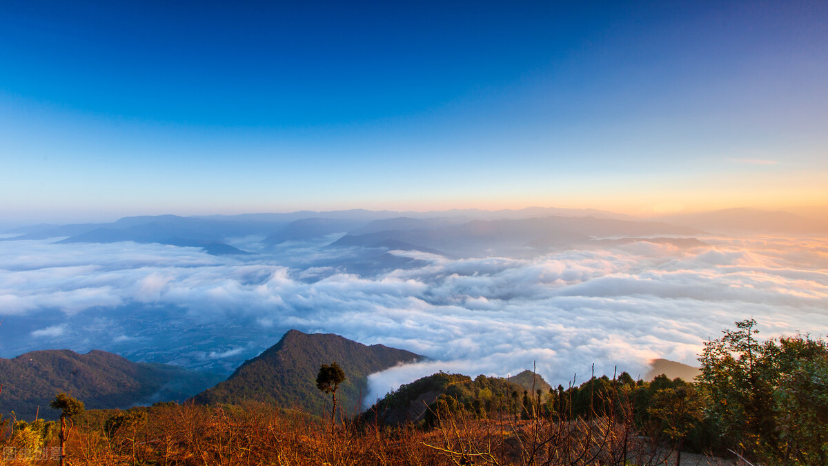 2015年高考英语全国新课标卷I听力理解内容效度分析