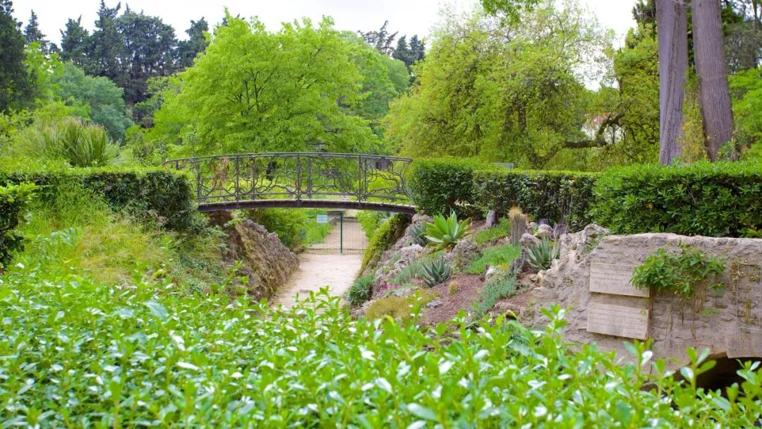 蒙彼利埃第三大学(蒙彼利埃植物园 Jardin des plantes de Montpellier)