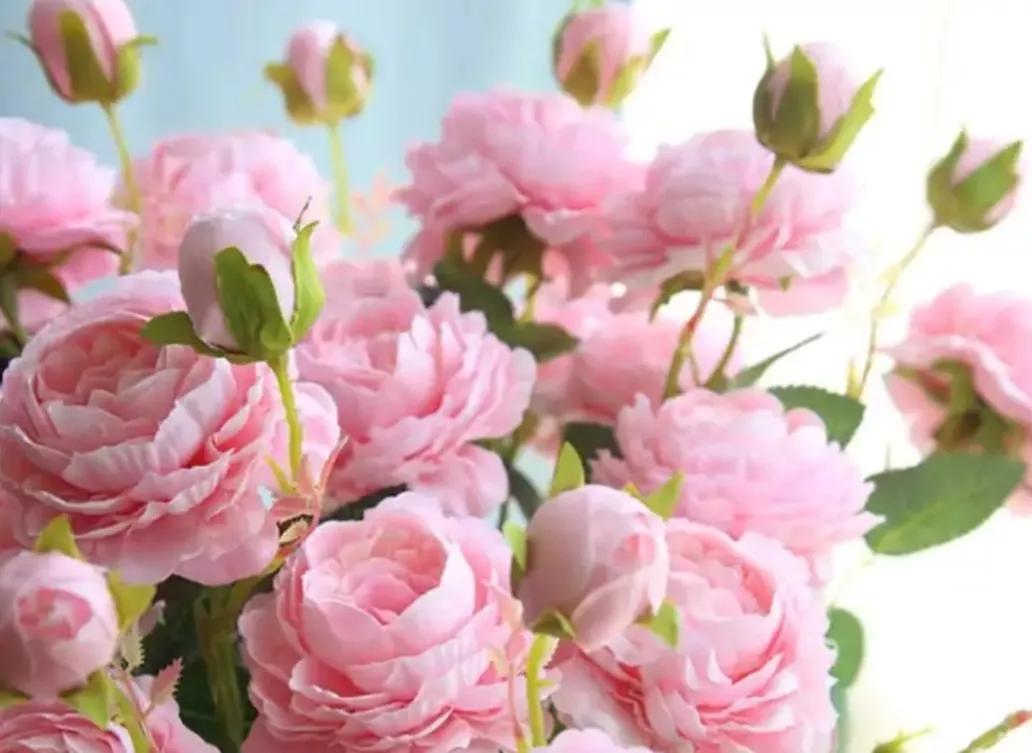 《增广贤文》中有关处世态度的10句话