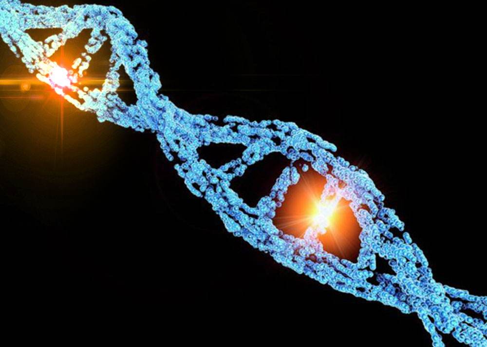 为什么印度屡屡出现"人脸山羊"?