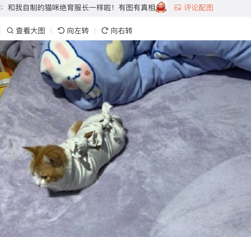 这是颁奖还是开业？金曲奖艺人造型齐翻车，现场变成乡村大舞台？