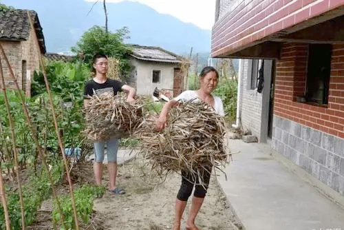 2017高考黄石状元（父母残疾全家靠吃野菜度日）
