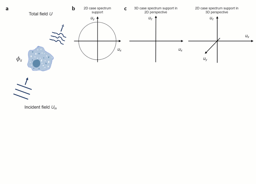 南京理工团队提出无需干涉及染色的三维层析显微成像技术