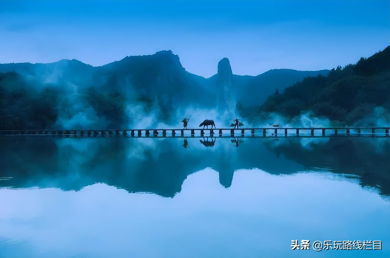 收藏！莲都春游好去处都在这里了