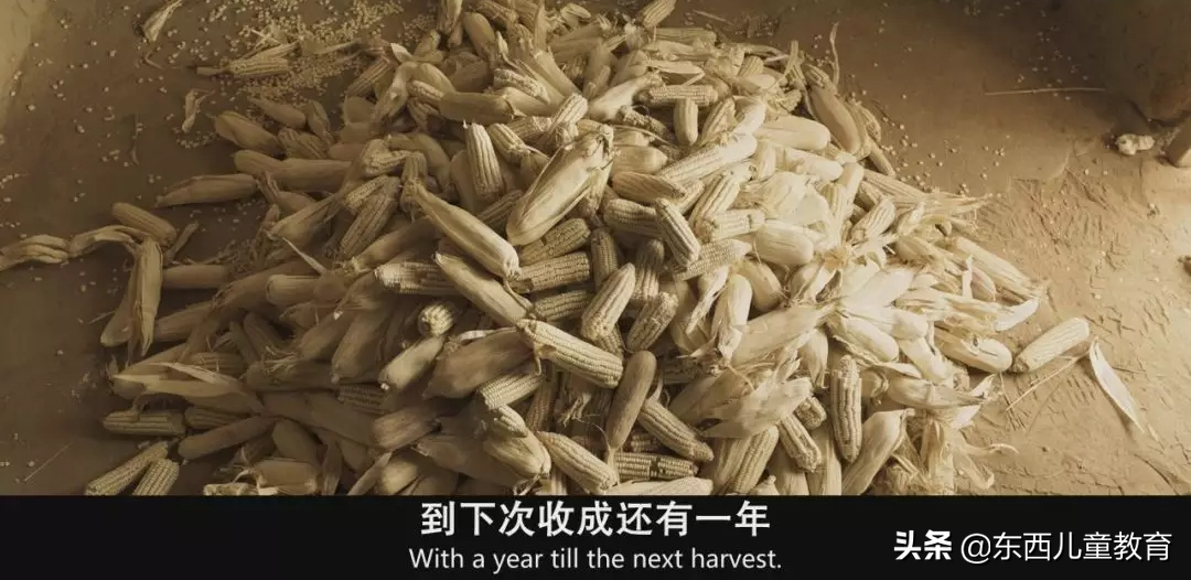 我挖到一部超棒的电影！娃看完大受震撼，主动说要好好学习