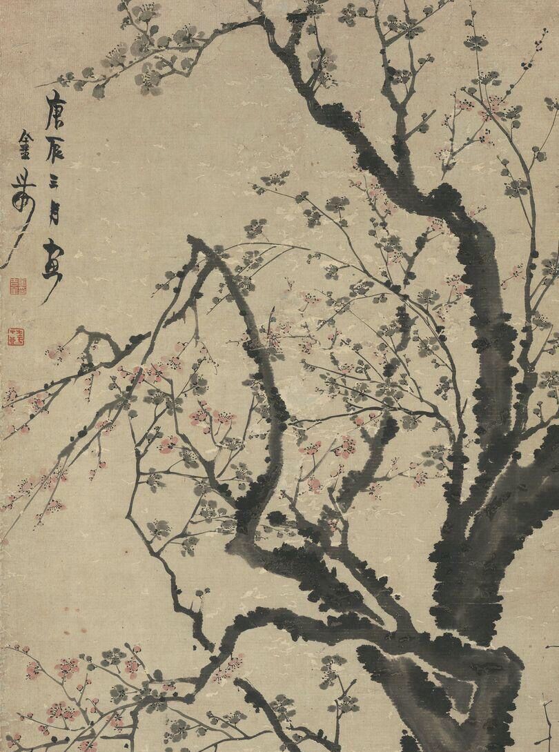 冰雪林中著此身，不同桃李混芳尘——梅花风骨，一枝独开天下春