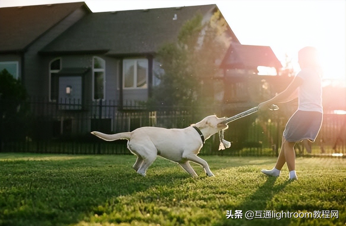 兒童攝影，怎麼捕捉孩子真實的個性？