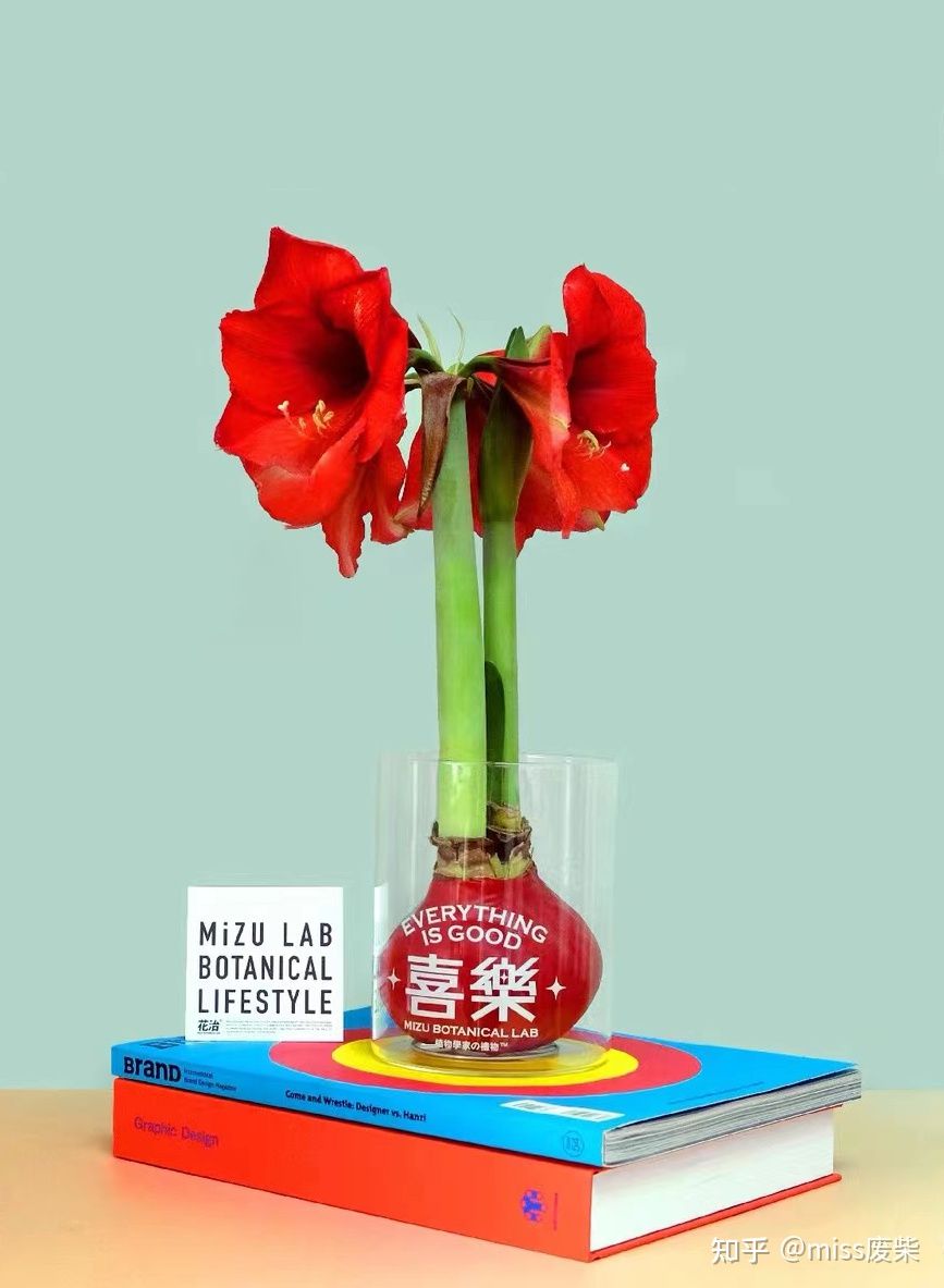 贫民窟女孩春节送礼怎么选？¥100～300不贵又拿得出手的礼物