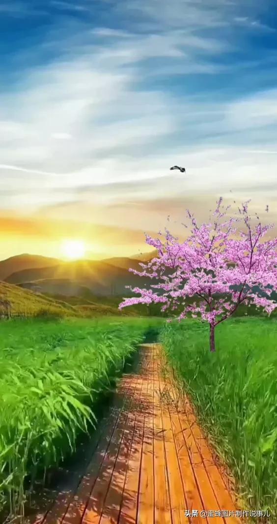 关于风景与心情的说说配图「暖心」 _qq说说网
