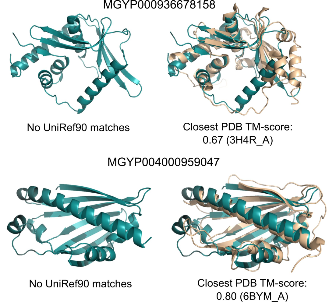 快了一个0！Meta祭出150亿参数蛋白质大模型，碾压AlphaFold2